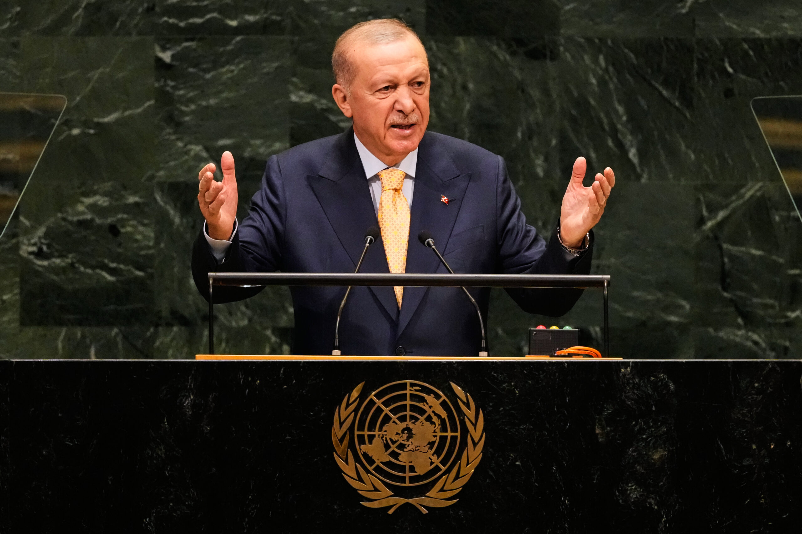 Erdogan urges UN reform, wider recognition of Palestinian state