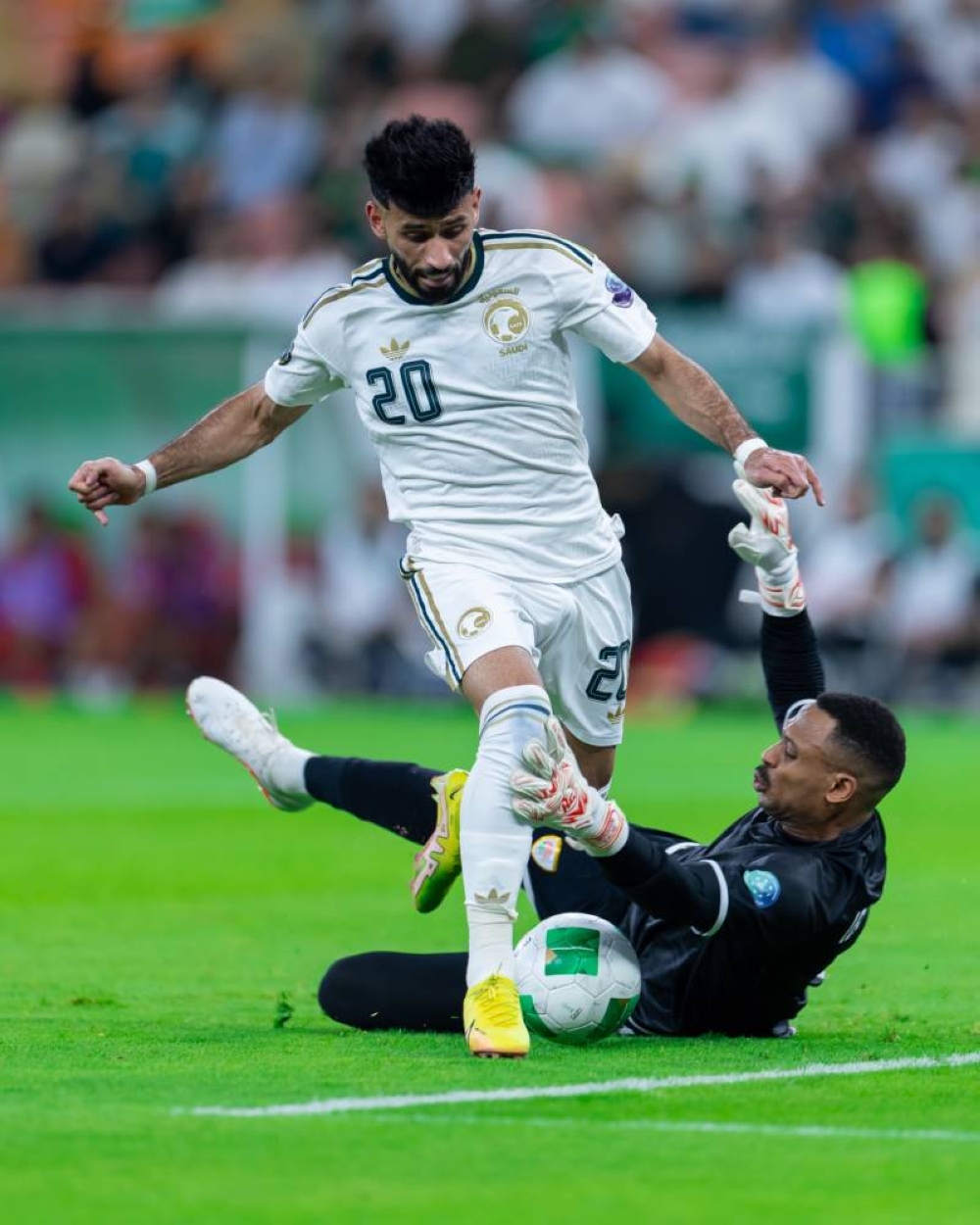 الصقور ينهون صيام 47 عاما