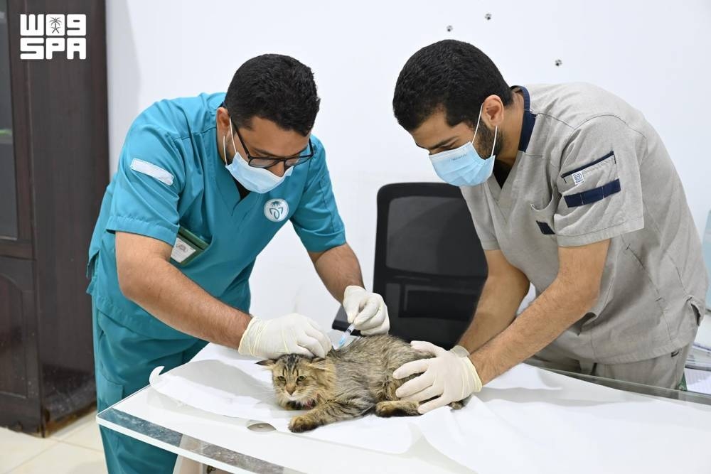 حملة لتحصين الحيوانات الأليفة