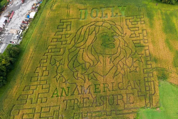 Dolly Parton Corn Mazes Crop Up in Fields Across US