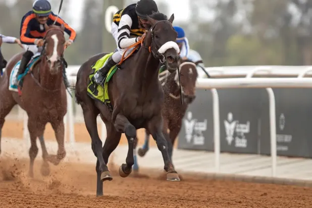 King Khalid Racecourse Hosts SAR2.8 Million Weekend Horse Races in Taif