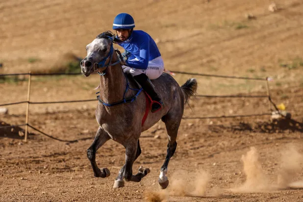 Horse Race Returns to Palestinian Village After Wartime Halt