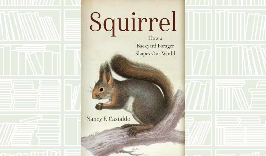 What We Are Reading Today: ‘Squirrel’ by Nancy F. Castaldo