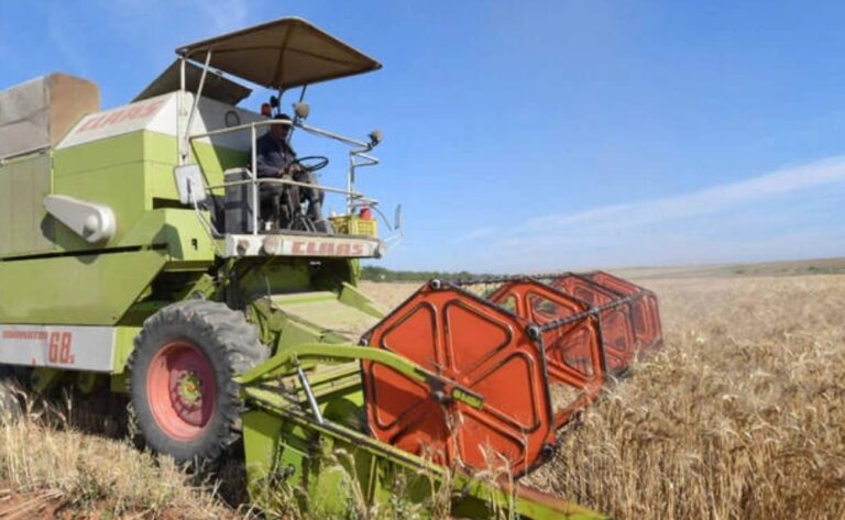 Tunisia says wheat stocks cover needs until January