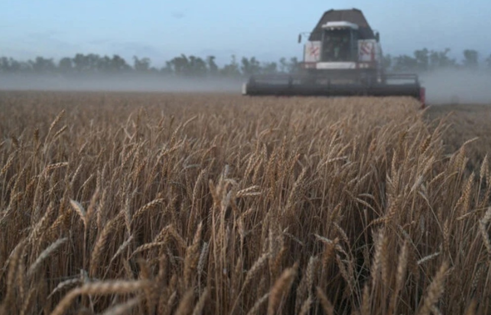 Third of Ukraine’s land faces moisture shortages, delaying sowing, minister says