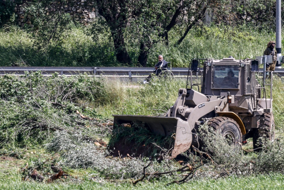 Israel orders vegetation removal from Palestinian land ahead of olive harvest
