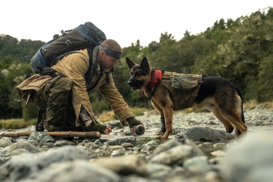 Review: In ‘Heart of the Beast,’ Brad Pitt and his dog battle nature itself