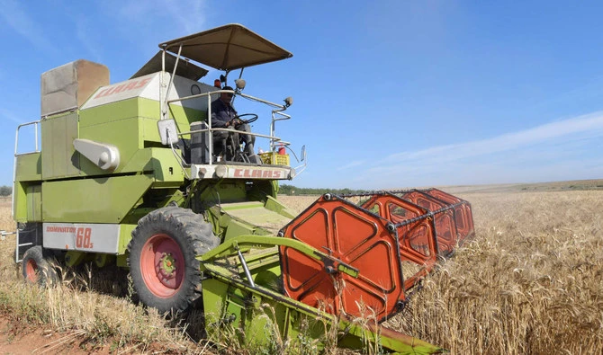 Tunisia receives offers in soft wheat and feed barley tenders, traders say
