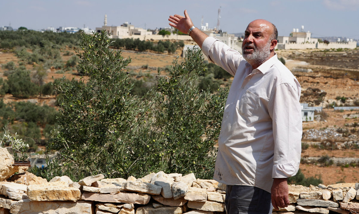 West Bank farmers mourn hundreds  of olive trees uprooted ahead of harvest