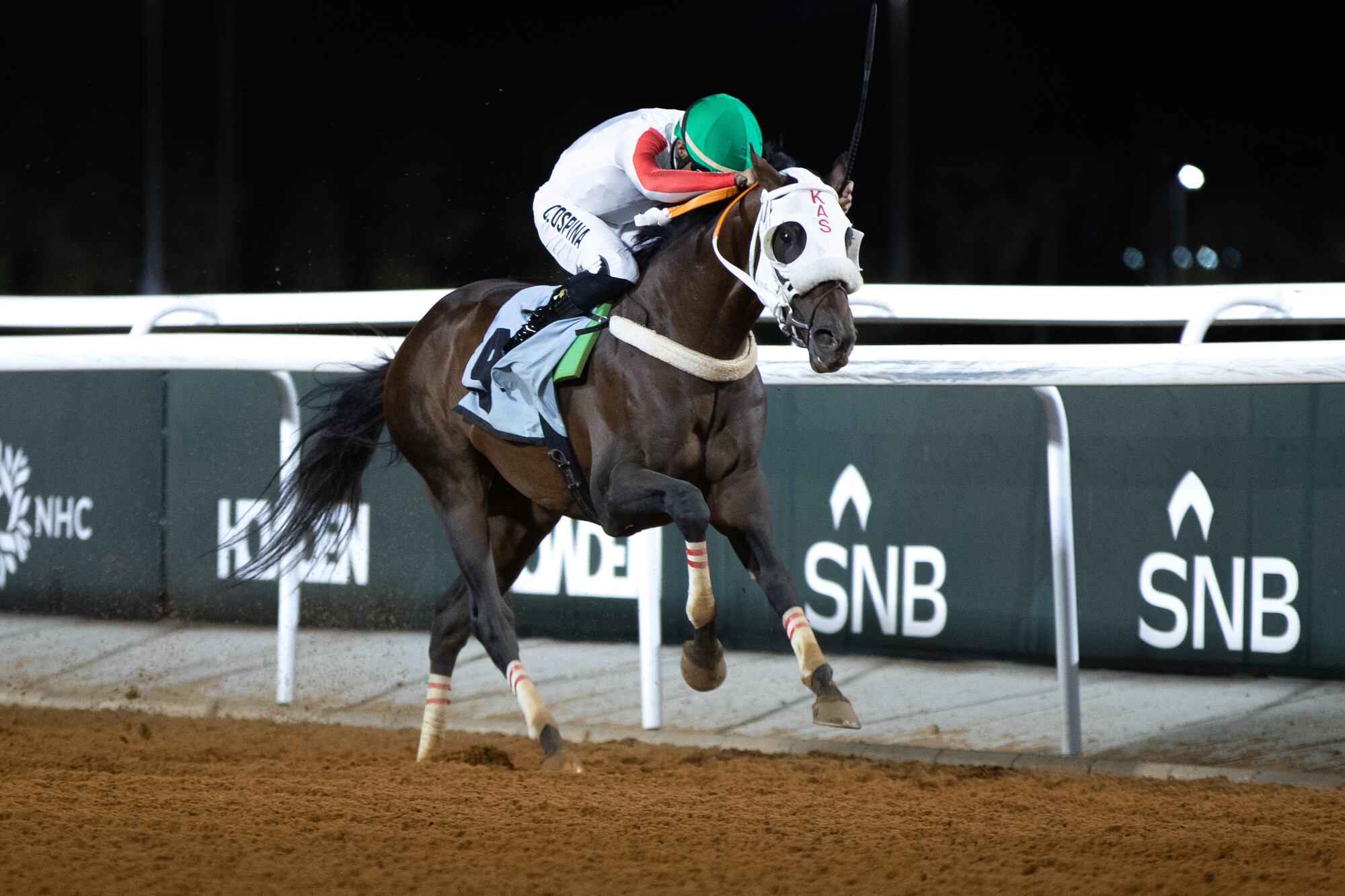 National Day Cup in the headlines as Taif racing season draws to a close at King Khalid Racecourse