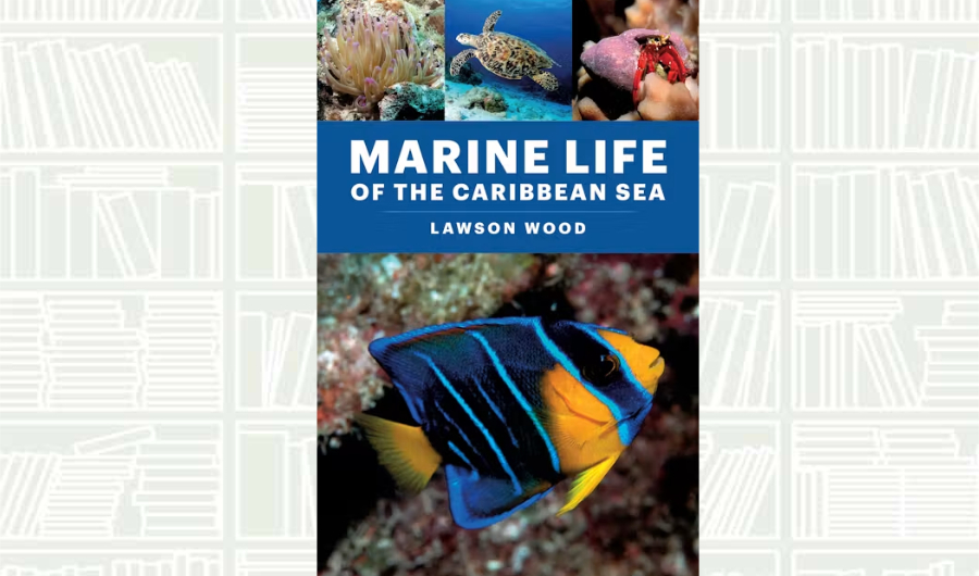 What We Are Reading Today: Marine Life of the Caribbean Sea