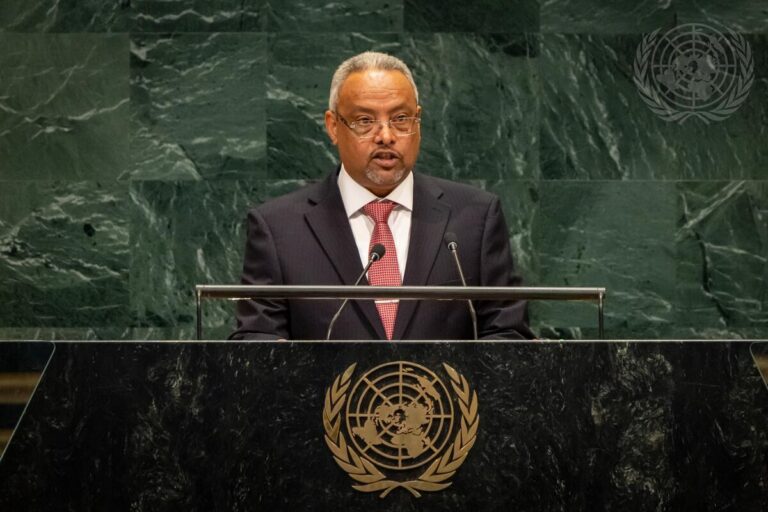 Djibouti appeals for global support amid influx of refugees from Yemen