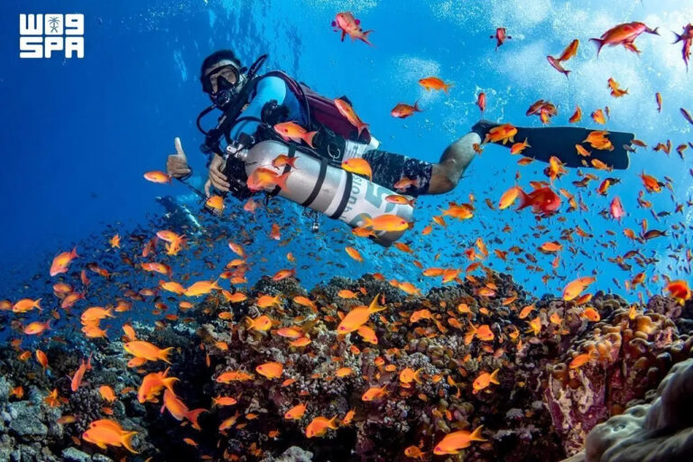 Saudi diving industry evolves from maritime heritage into blue-economy pillar