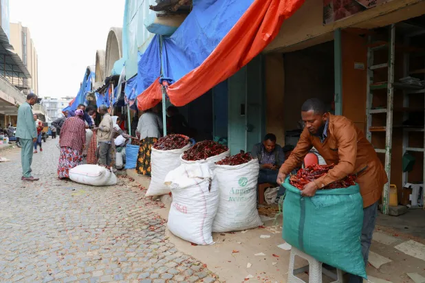 Heavy Fighting, Internet Disruption as Ethiopia Conflict Rages