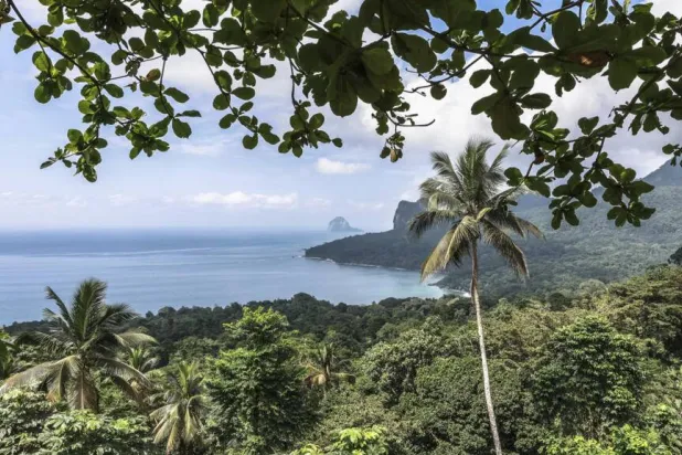Cash for Nature Protection: Hotelier’s Offer to Principe Islanders