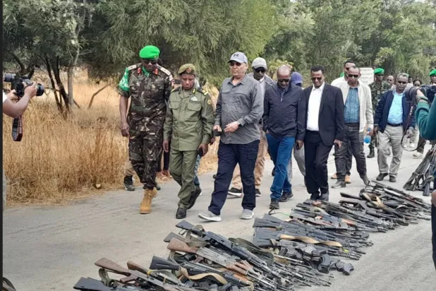 Egyptian Source Denies Cairo Involvement in Ethiopia Unrest