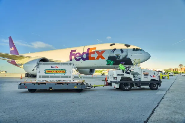 Two Giant Pandas, Emblems of China Soft Diplomacy, Arrive in US
