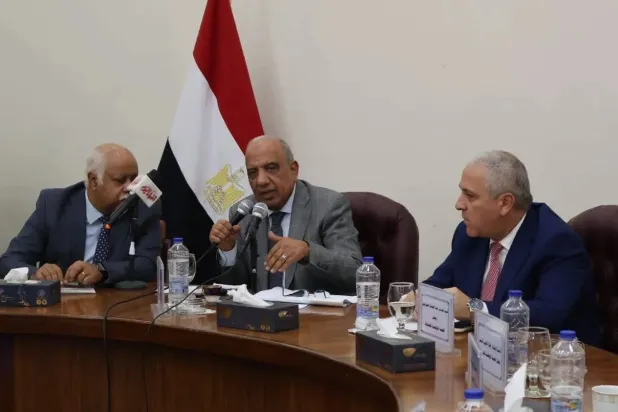 Saudi-Egypt Electricity Interconnection Nears Operation