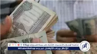 خبيرة اقتصاد تكشف عوامل تحدد راتب الموظف