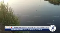 تمساح بلبيس يثير الرعب.. والأهالي: “طلع من المصرف”