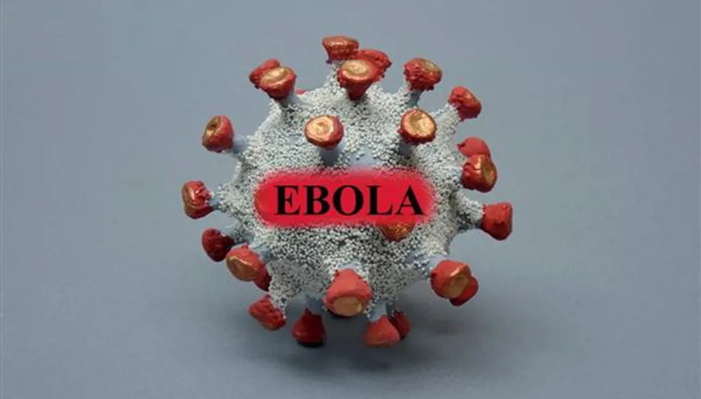 Ebola outbreak in Congo surpasses 8,000 confirmed cases