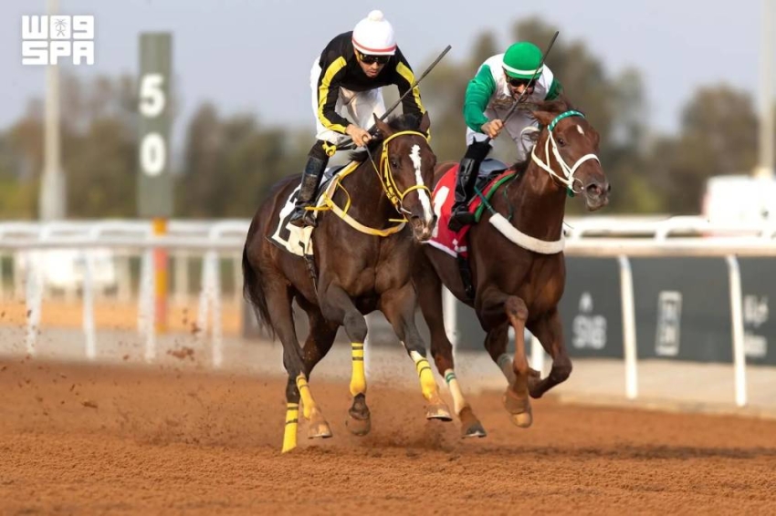 أبطال السرعة ومساهمتا نادي سباقات الخيل يحسمون أبرز أشواط الأسبوع التاسع لسباقات الطائف