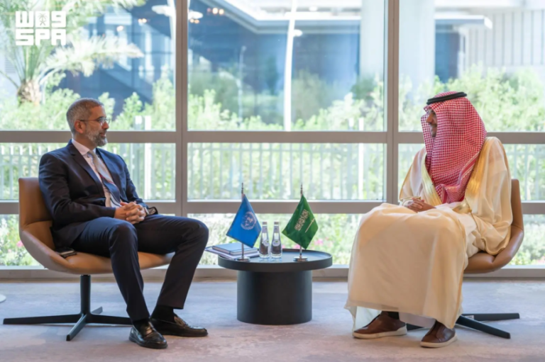 نائب وزير الاقتصاد والتخطيط يجتمع مع المنسق المقيم للأمم المتحدة في المملكة