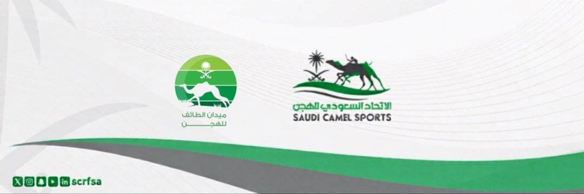 الطائف تحتضن منافسات كأس الاتحاد السعودي للهجن الأربعاء المقبل