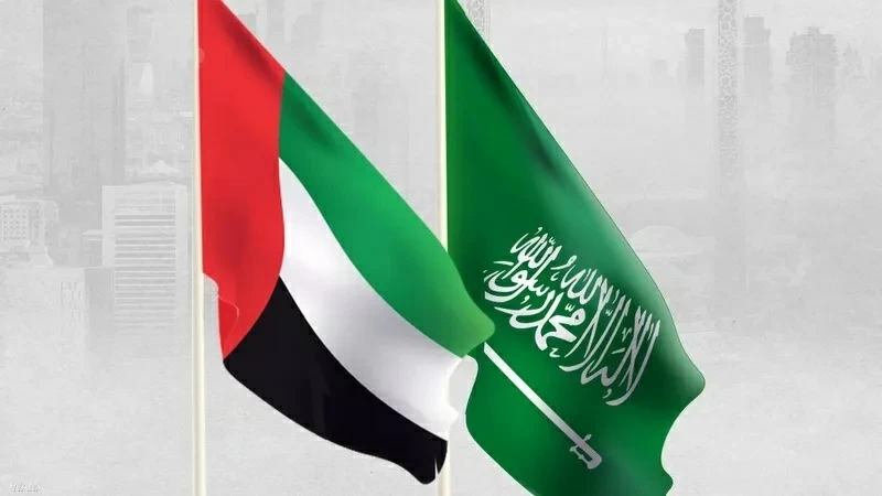 الإمارات تُدين هجمات الحوثي على المملكة