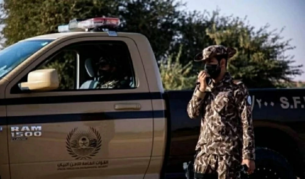 بحوزتهما بندقيتان و39 ذخيرة.. ضبط مواطنين اصطادا دون ترخيص
