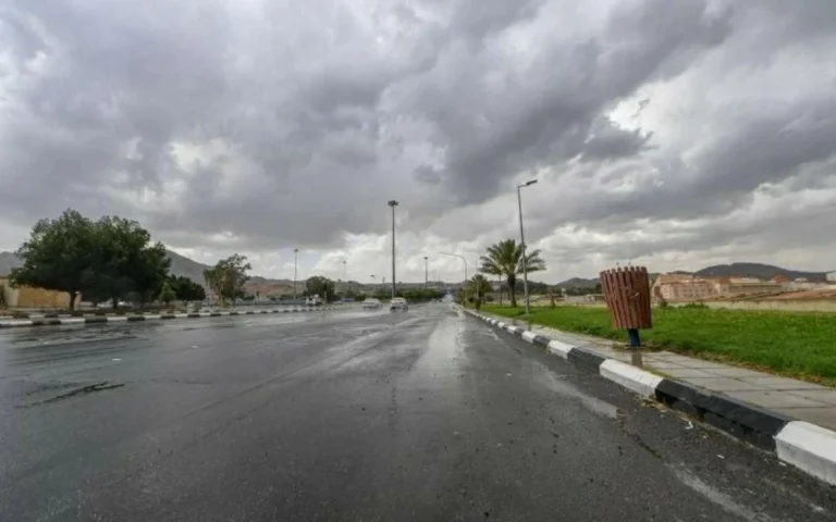 «الأرصاد»: أمطار رعدية غزيرة وسيول وبرد على 6 مناطق
