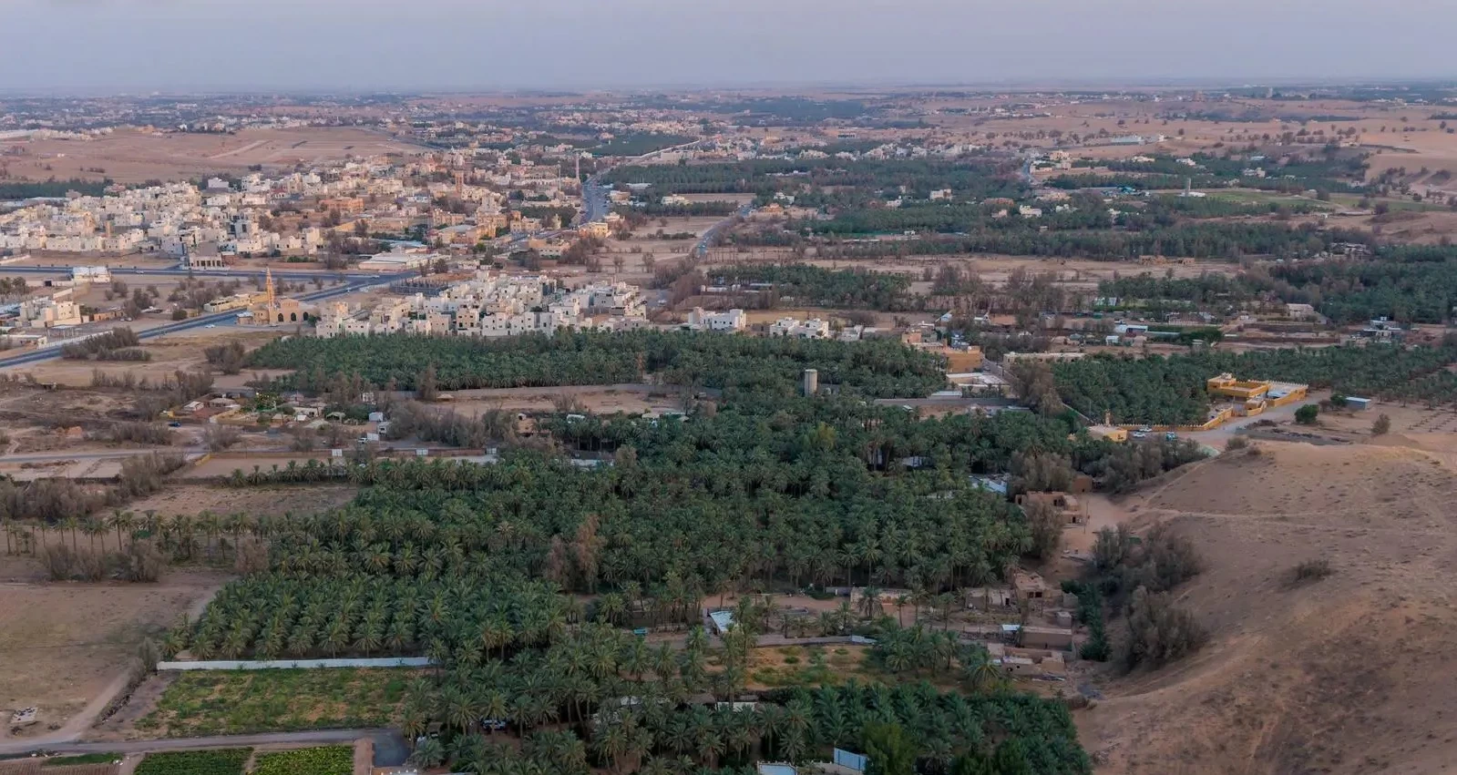 «خبوب بريدة».. كيف شكلت الطبيعة علاقة الإنسان بالأرض؟