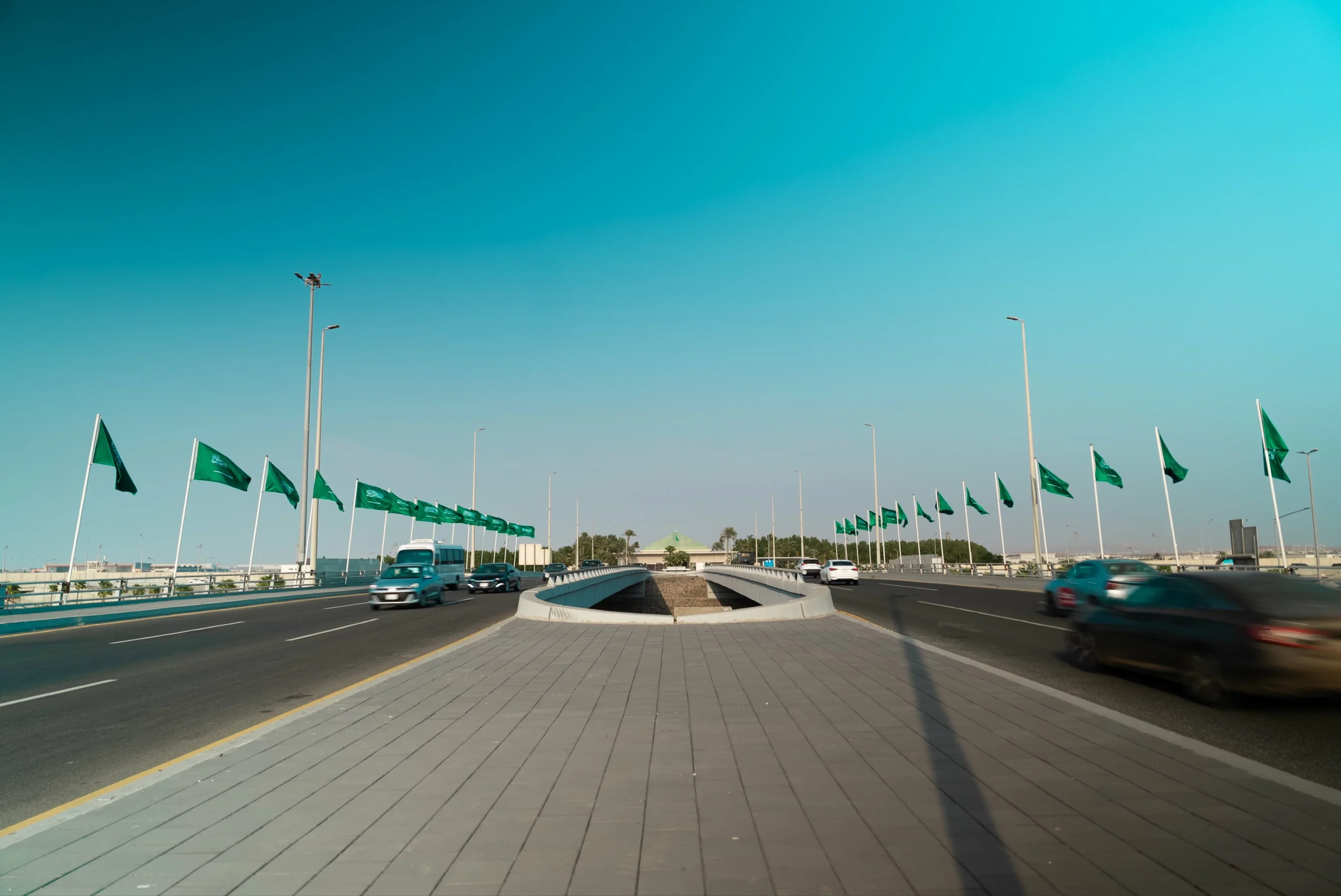 احتفاء وطني يمتد من الطرق والميادين إلى الفعاليات