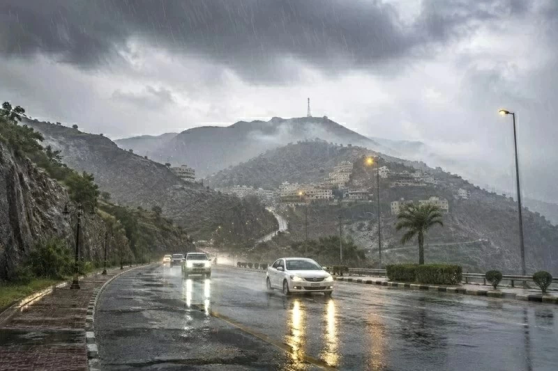 تنبيه: صواعق وبرد على جازان وموجة ضباب بالشرقية