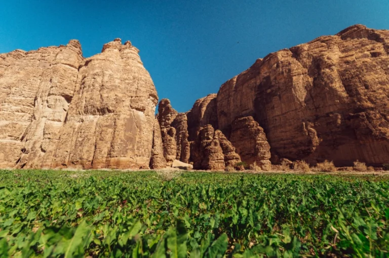 AlUla wins Gold at 2026 ICRT Responsible Tourism Awards