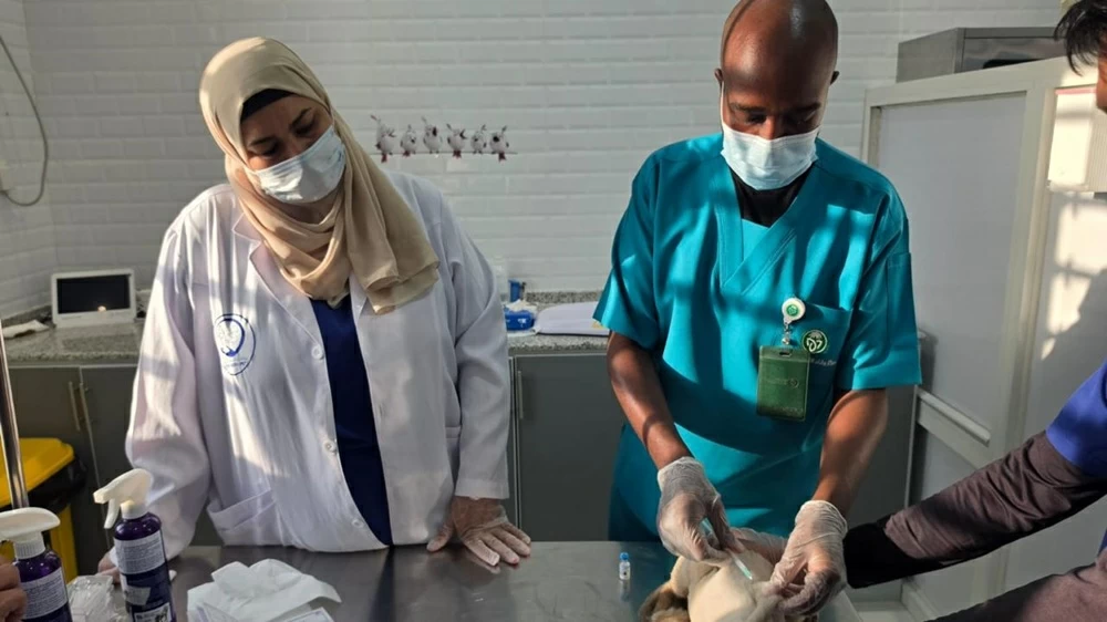 مركز وقاء بنجران يطلق حملة لتحصين الحيوانات ضد السعار