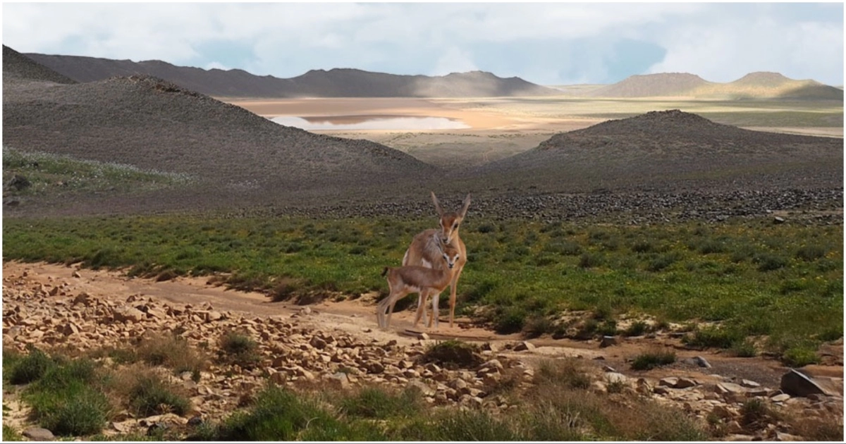 King Salman Reserve secures international accreditation for 10 hiking trails