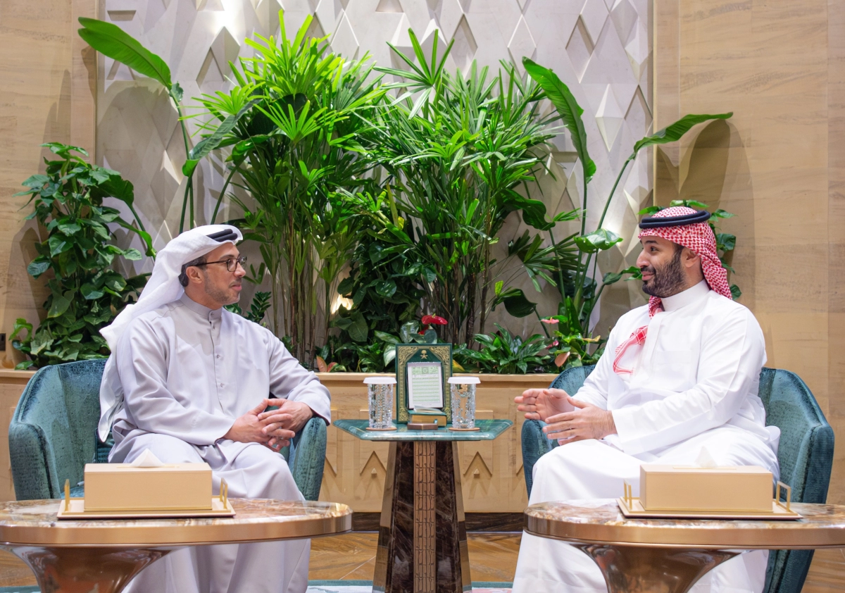 Crown Prince meets UAE Vice President in Riyadh