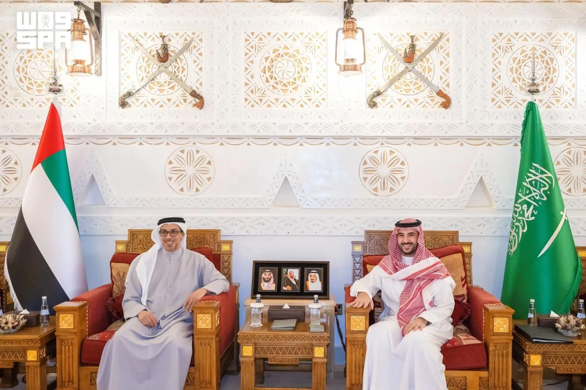 Defense minister, UAE vice president discuss strengthening bilateral cooperation 