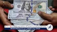 عاجل ـ تحويلات المصريين بالخارج تقترب من 30 مليار دولار خلال 7 أشهر.. ارتفاع لافت في يوليو