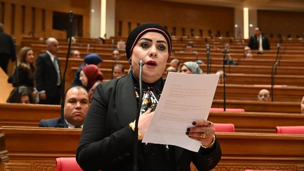 برلمانية: الحضور المصري في أزمات المنطقة يعكس ثقل القاهرة وقدرتها على بناء مساحات للحوار والتفاهم