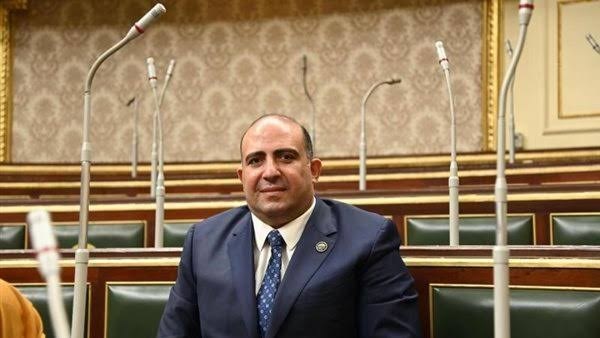 برلماني: لقاء السيسي وأبو مازن يضع القضية الفلسطينية في صدارة التحرك الإقليمى
