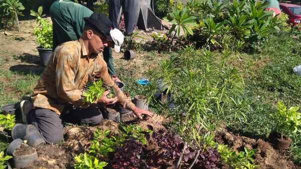 «اتحضر للأخضر».. زراعة النباتات المزهرة بمحيط وزارة الزراعة لتحسين الرؤية البصرية