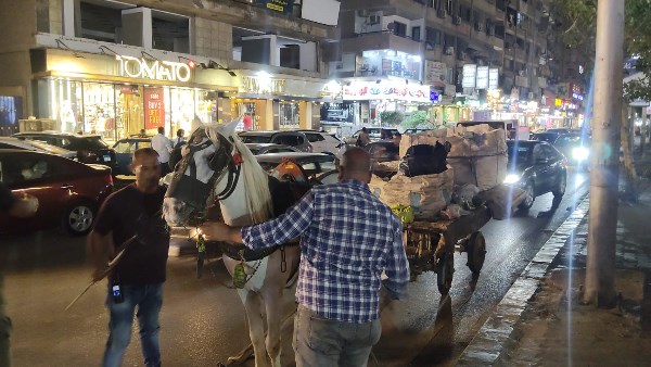 الجيزة تحظر سير العربات الكارو وملاحقة «الفريزة» في حملة مكبرة بفيصل والمريوطية