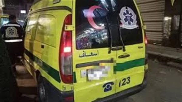 بالأسماء.. تفاصيل إصابة 12 شخصا في تصادم ميكروباص ونقل بصحراوي المنيا