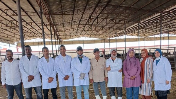 جهود مديرية الطب البيطري بأسوان خلال 3 أشهر للحفاظ على الثروة الحيوانية