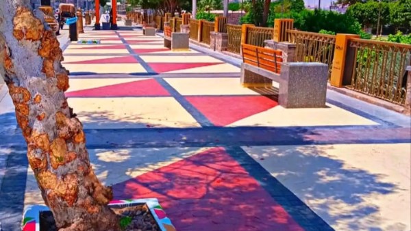 حفاظًا على الأشجار والنخيل.. محافظ أسوان يوجه بمنع قطع أو تقليم الأشجار