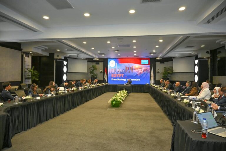 Sovereign Fund of Egypt launches EGP 10bn industrial sub-fund, minister tells S&P