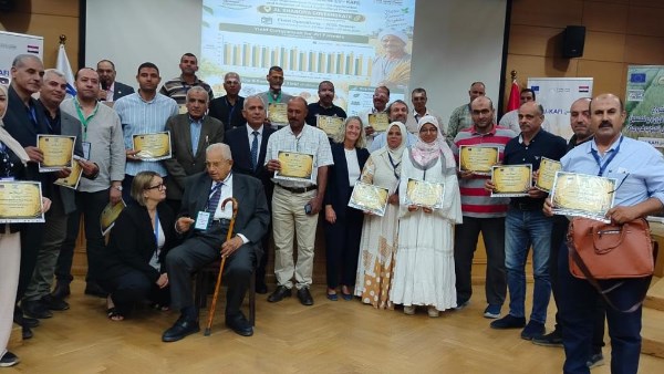 31.7 أردب للفدان.. مفاجأة نتائج مشروع «يو كافي» في حقول القمح