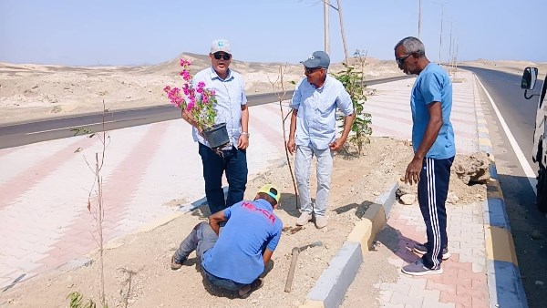 مرسى علم تتزين بالأخضر.. انطلاق توسع في زراعة الأشجار وتحسين جودة البيئة